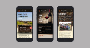 Mundy Gully - Responsive web design, mobile site